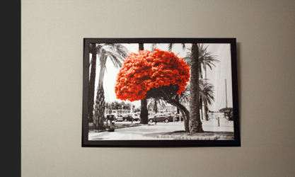 Туристическое агентство Два Солнца в жизни