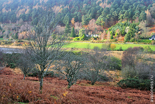 Фотосерия: гео, Ирландия, Виклоу