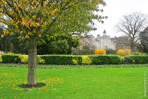 Фотосерия: гео, Ирландия, Дублин