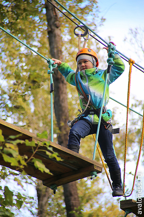 Фотосерия: канатная дорога «Панда»