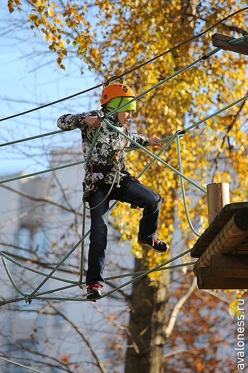 Фотосерия: канатная дорога «Панда»