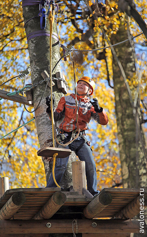 Фотосерия: канатная дорога «Панда»