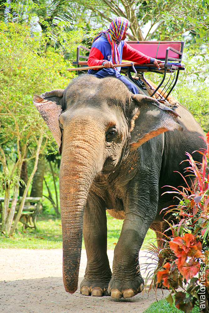 Фотограф в путешествие. Тайланд. Краби