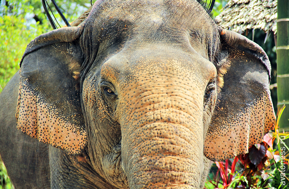 Фотограф в путешествие. Тайланд. Краби