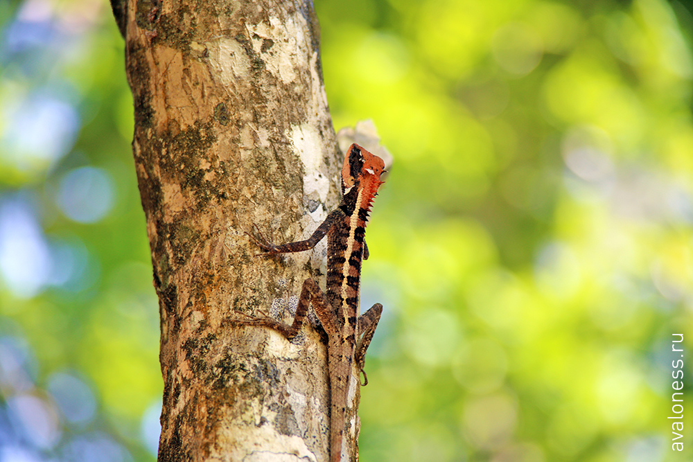 Фотограф в путешествие. Тайланд. Краби