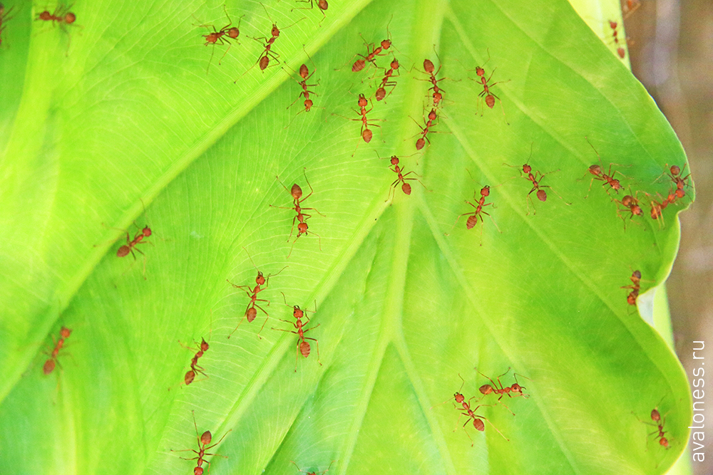 Фотограф в путешествие. Тайланд. Краби