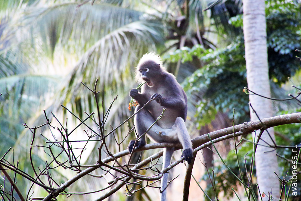 Фотограф в путешествие. Тайланд. Краби
